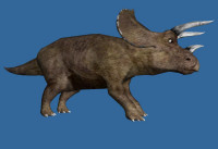 _images/triceratops_sml.jpg